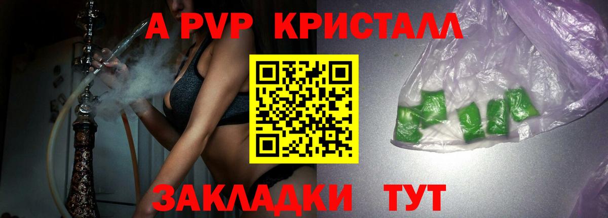 APVP СК КРИС  Вход с VPN  Сальск  А ПВП СК КРИС  Alfa_PVP СК 