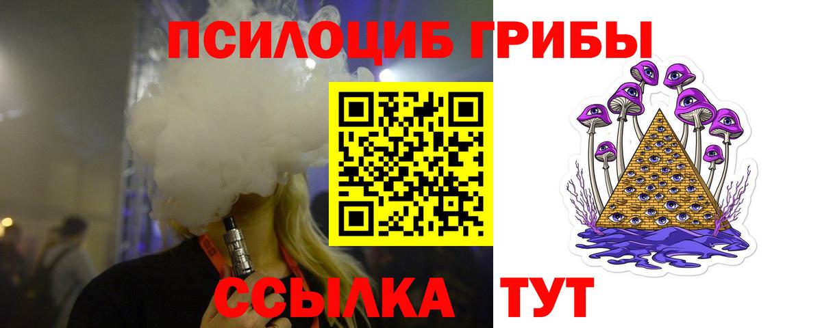 Галлюциногенные грибы Psilocybe  Вход с VPN  Сальск  Галлюциногенные грибы мицелий 