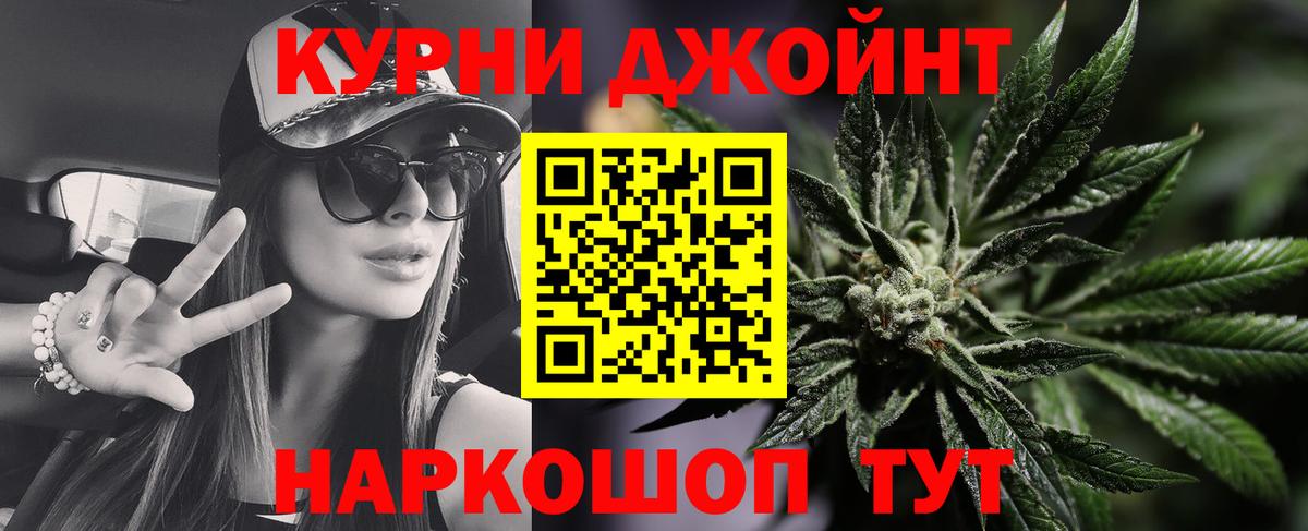 Сальск  Каннабис OG Kush  Вход с VPN  Канабис White Widow  Марихуана сатива  Бошки марихуана планчик 
